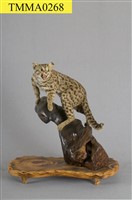 石虎藏品圖，第1張